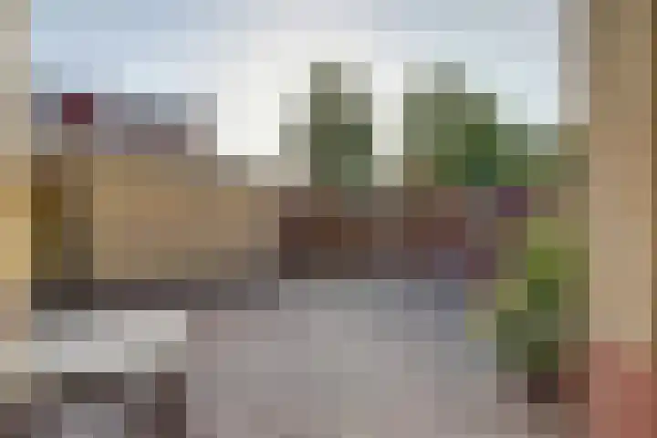 Koningsspilstraat 18 Culemborg thumbnail 43