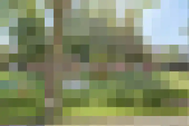 Koningsspilstraat 18 Culemborg thumbnail 44