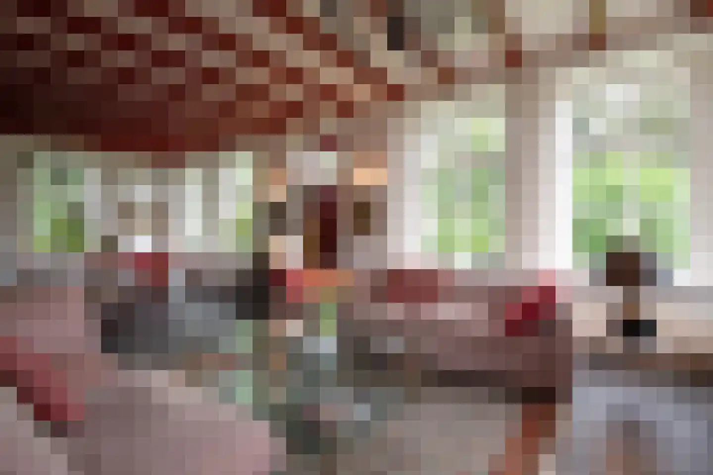 Koningsstraat 2 Haaften thumbnail 11