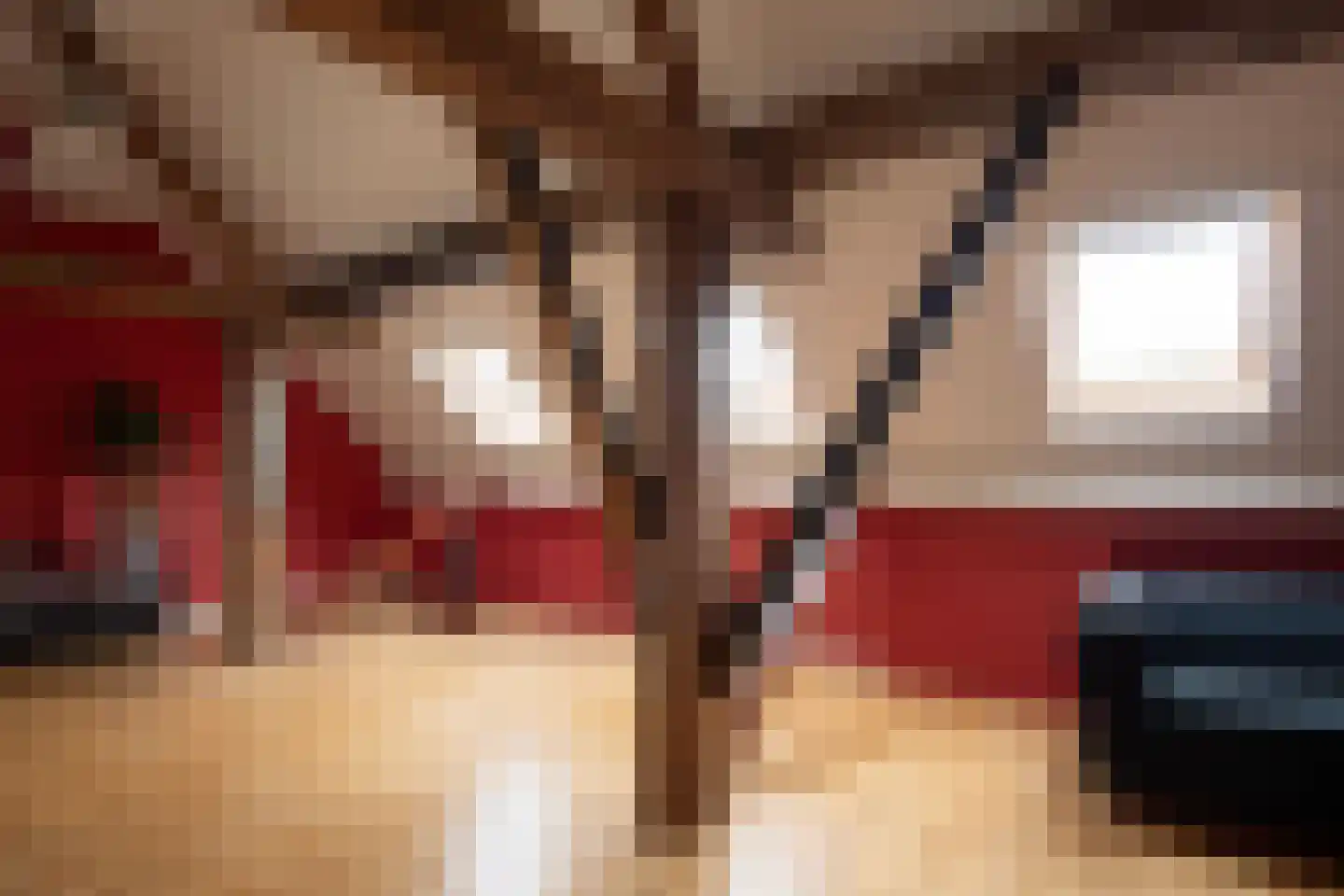 Koningsstraat 2 Haaften thumbnail 25