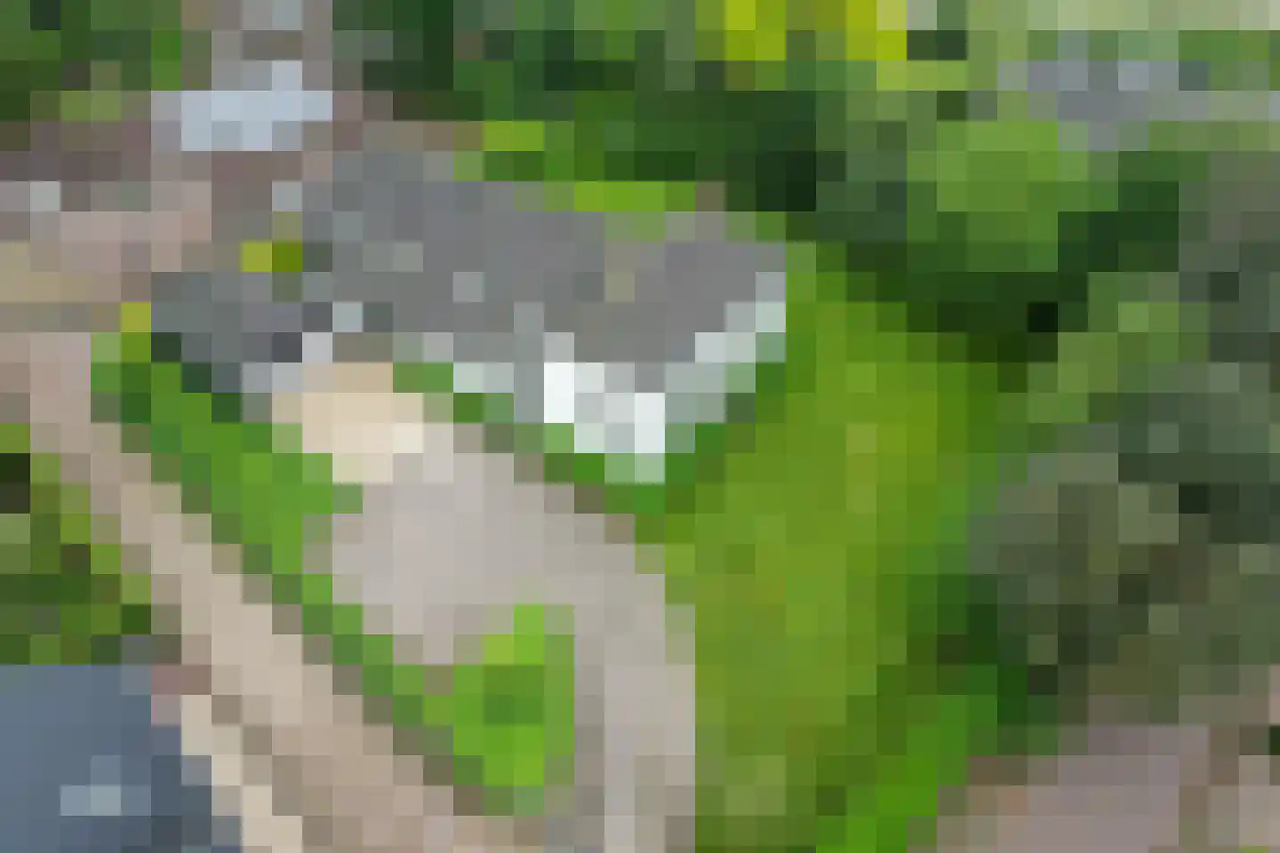 Koningsstraat 2 Haaften thumbnail 6