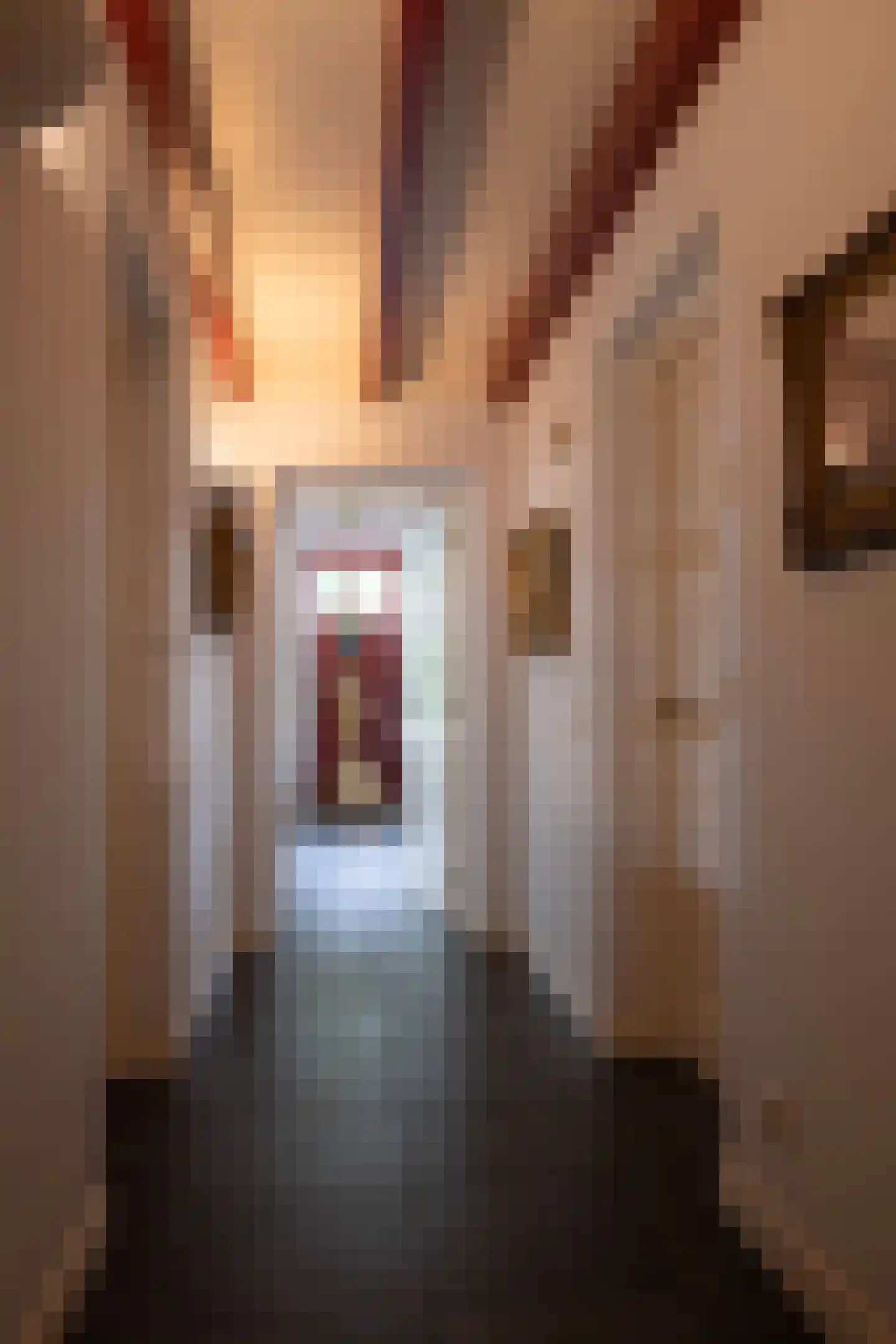 Koningsstraat 2 Haaften thumbnail 8
