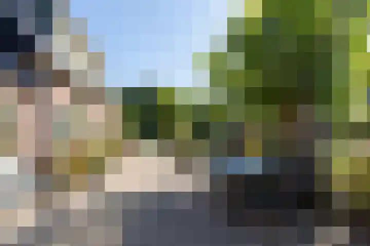 Koningsstraat 9 Zeddam thumbnail 20