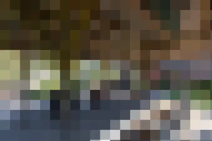 Koningsstraat 9 Zeddam thumbnail 30