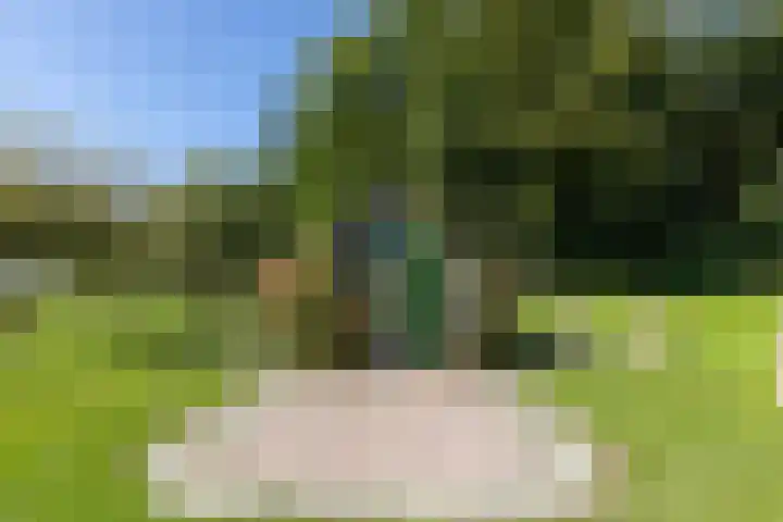 Koningsstraat 9 Zeddam thumbnail 32