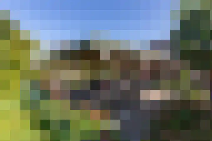 Koningsstraat 9 Zeddam thumbnail 33