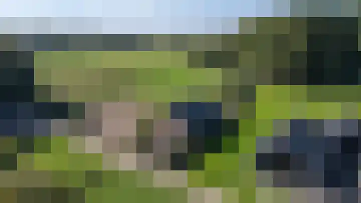 Koningsstraat 9 Zeddam thumbnail 4