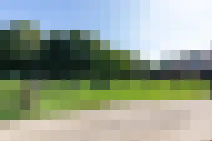 Koningsstraat 9 Zeddam thumbnail 45