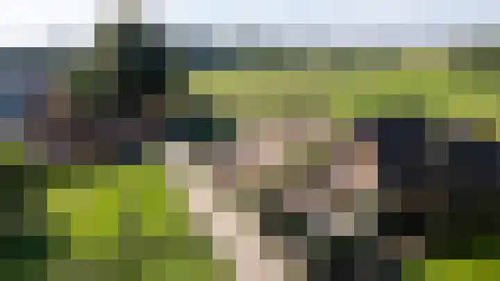Koningsstraat 9 Zeddam thumbnail 5