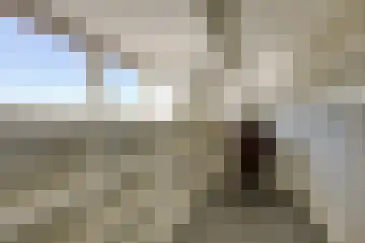 Koningsstraat 9 Zeddam thumbnail 79