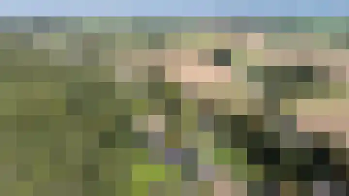 Koningsstraat 9 Zeddam thumbnail 8