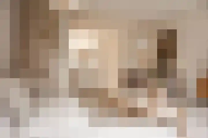 Koningsteinstraat 41 Haarlem thumbnail 12