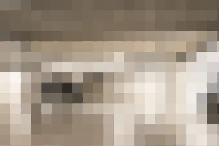 Koningsteinstraat 41 Haarlem thumbnail 38