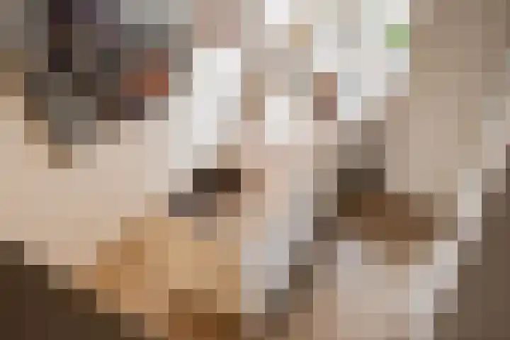 Koningsteinstraat 41 Haarlem thumbnail 8
