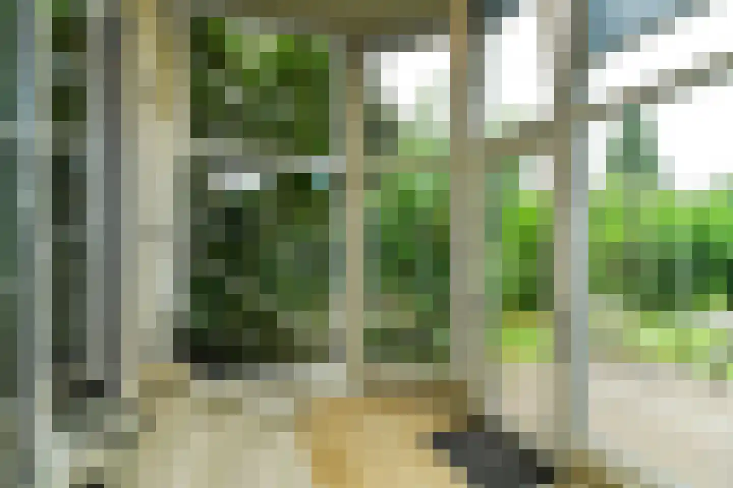 Koningstraat 17 Velp thumbnail 14