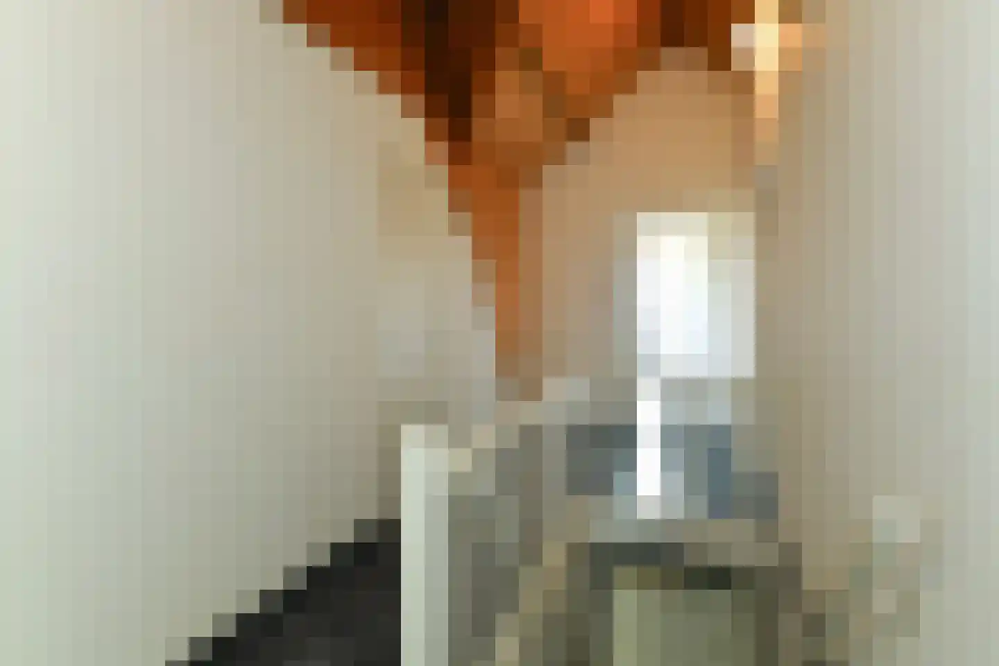 Koningstraat 17 Velp thumbnail 22