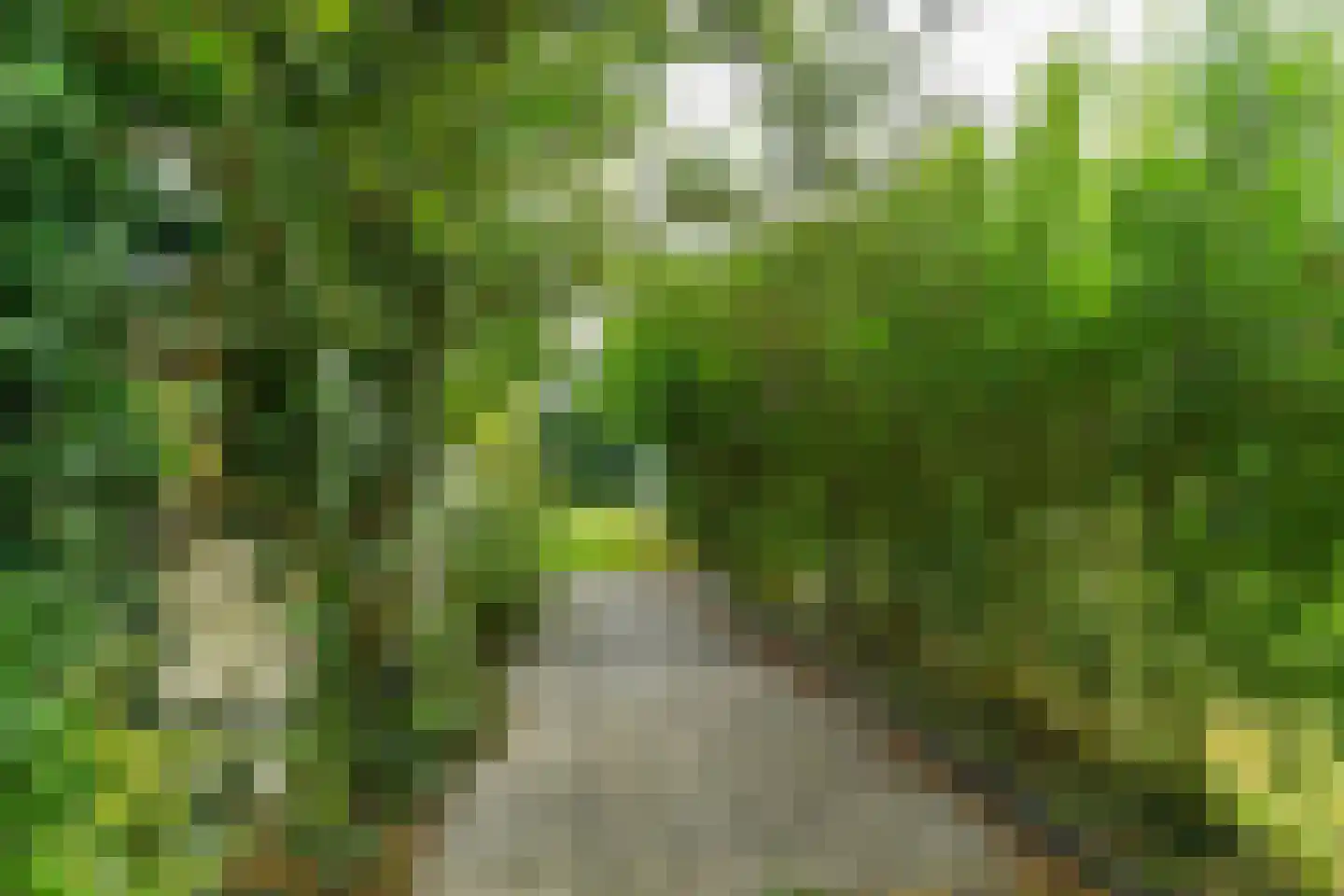 Koningstraat 17 Velp thumbnail 47