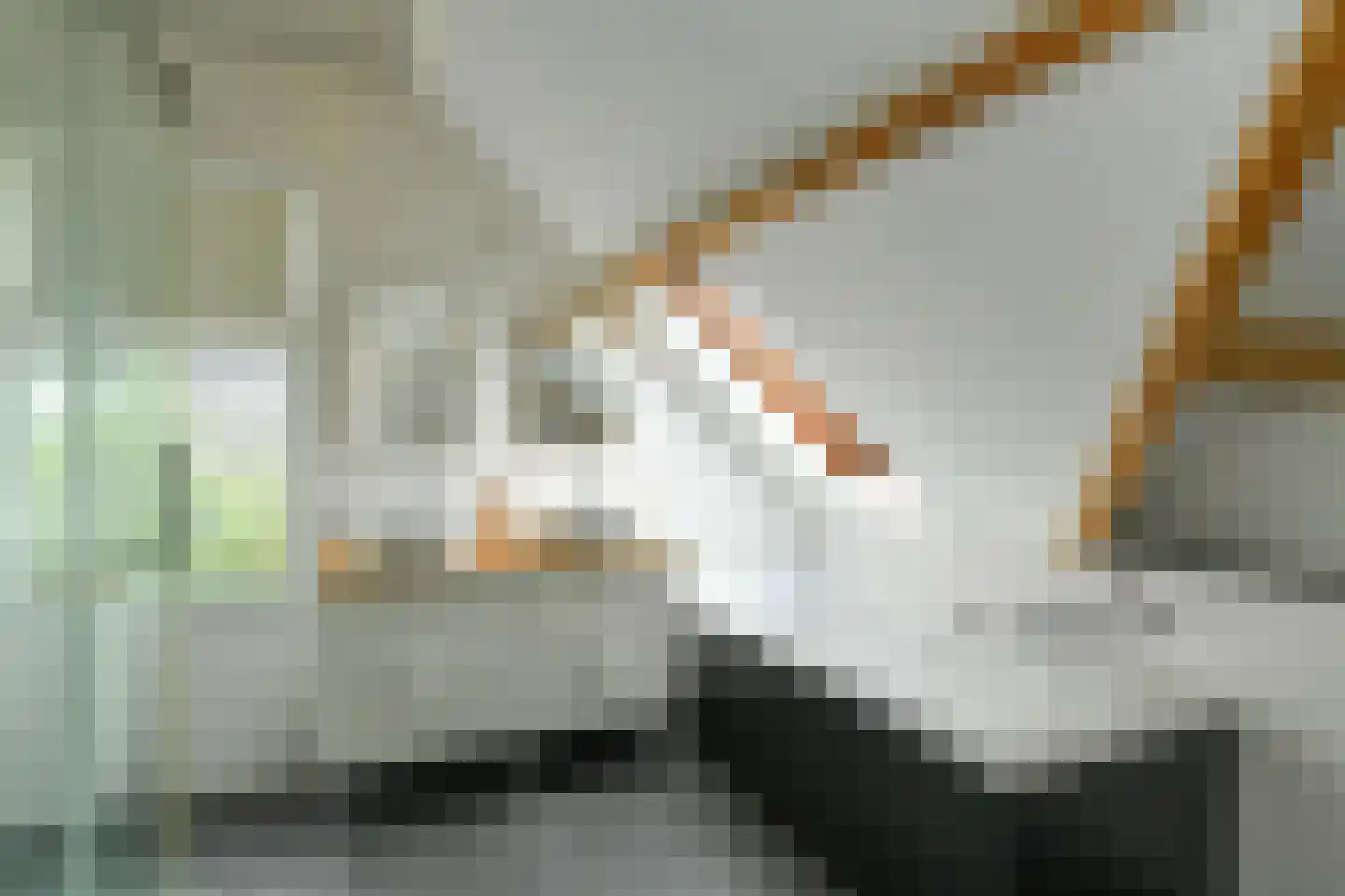Koningstraat 17 Velp thumbnail 5