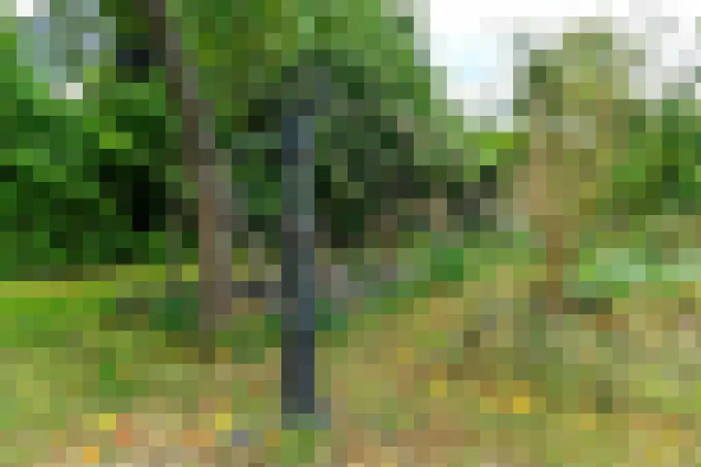 Koningstraat 17 Velp thumbnail 50