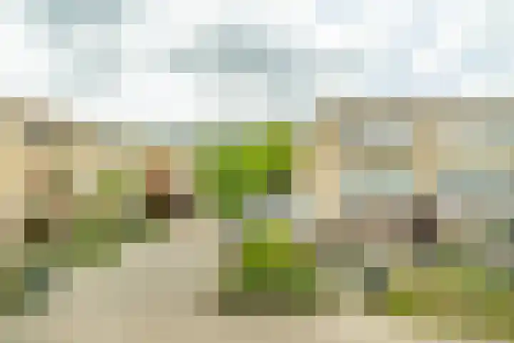 Koningstraat 31 Zoetermeer thumbnail 12