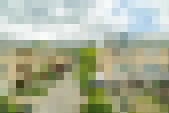 Koningstraat 31 Zoetermeer thumbnail 31