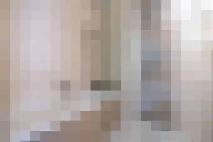 Koningstraat 31 Zoetermeer thumbnail 34
