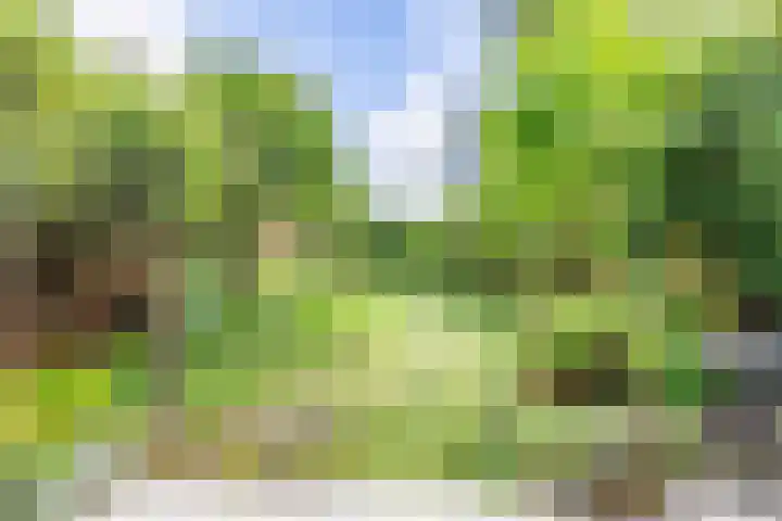 Koningstraat 31 Zoetermeer thumbnail 41