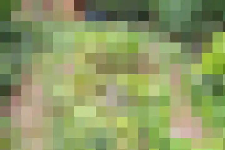 Koningstraat 31 Zoetermeer thumbnail 44