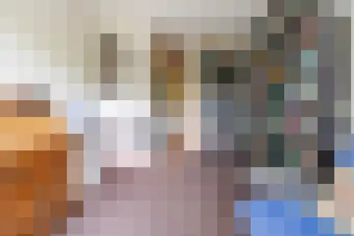 Koningstraat 31 Zoetermeer thumbnail 47