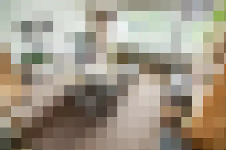 Koningstraat 31 Zoetermeer thumbnail 6