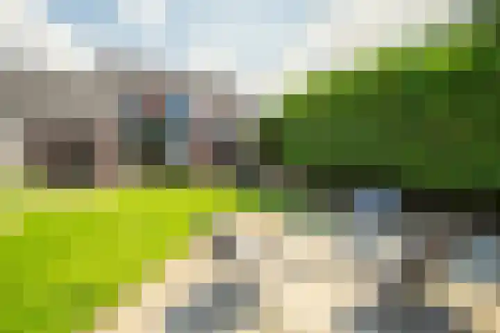 Koningstraat 37 Born thumbnail 22