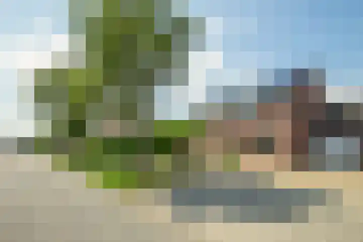 Koningstraat 37 Born thumbnail 23