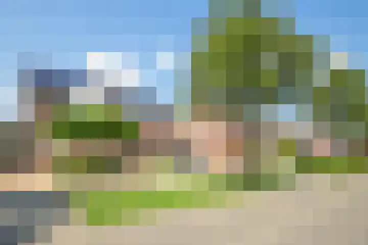 Koningstraat 37 Born thumbnail 24