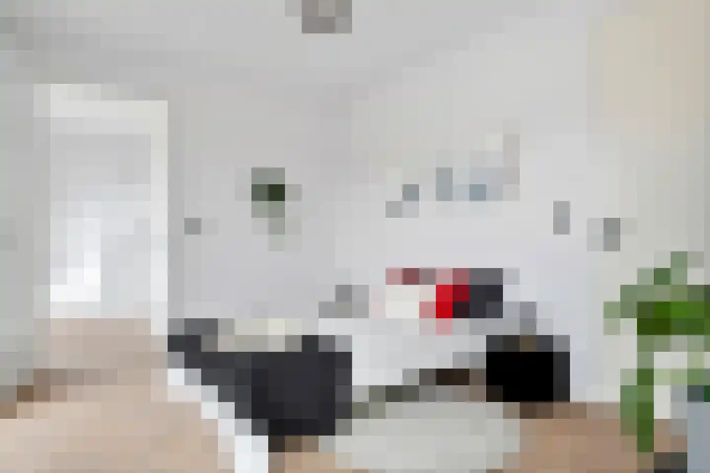 Koningstraat 53 E Afferden thumbnail 21