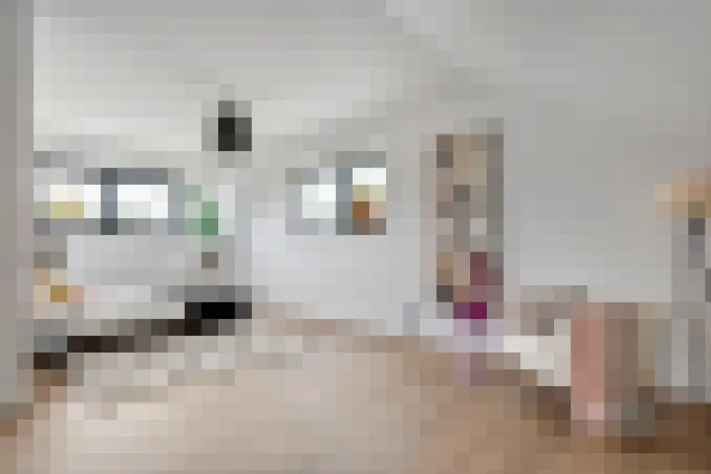 Koningstraat 53 E Afferden thumbnail 28