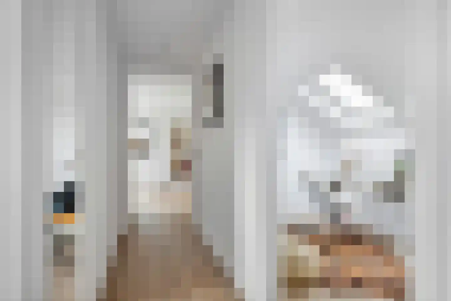 Koningstraat 53 E Afferden thumbnail 46