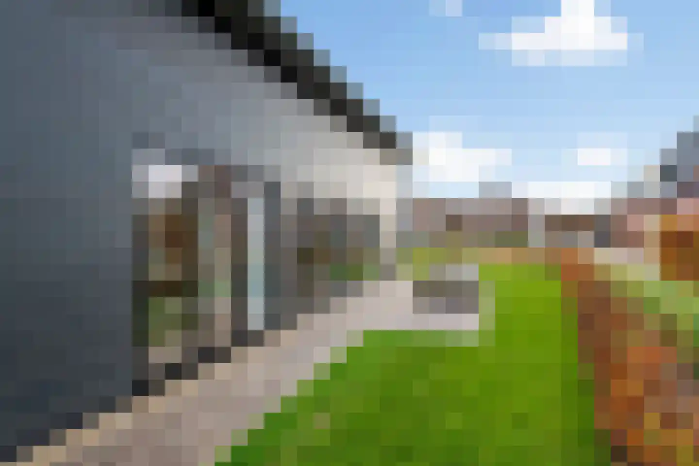 Koningstraat 53 E Afferden thumbnail 54