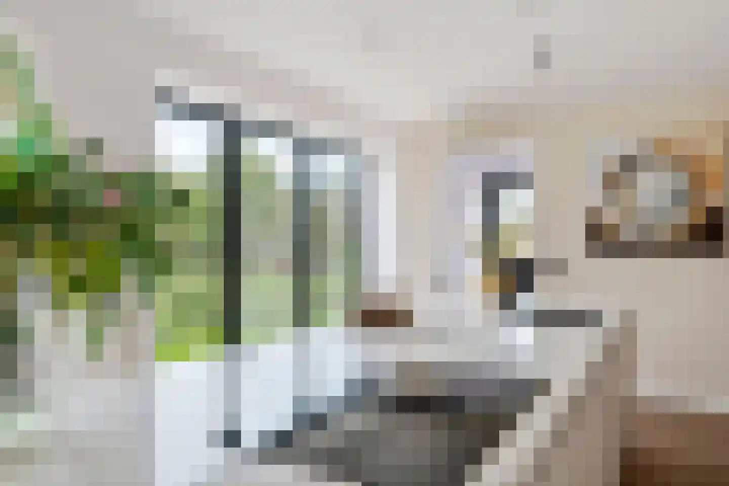 Koningstraat 53 E Afferden thumbnail 6