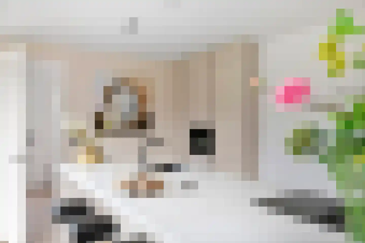 Koningstraat 53 E Afferden thumbnail 7