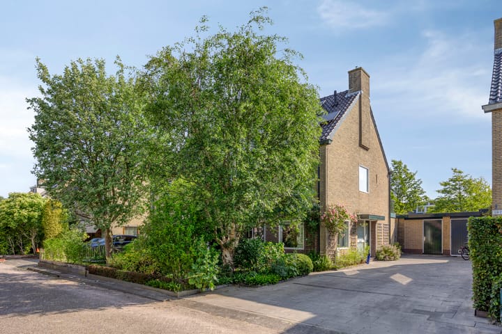 Koningsvaren 105 in Abcoude foto