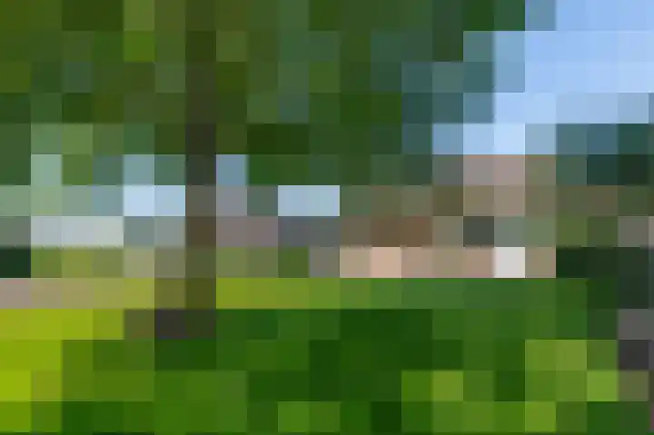 Koningsveld 4 Ede thumbnail 29