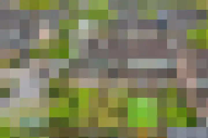 Koningsveld 4 Ede thumbnail 32