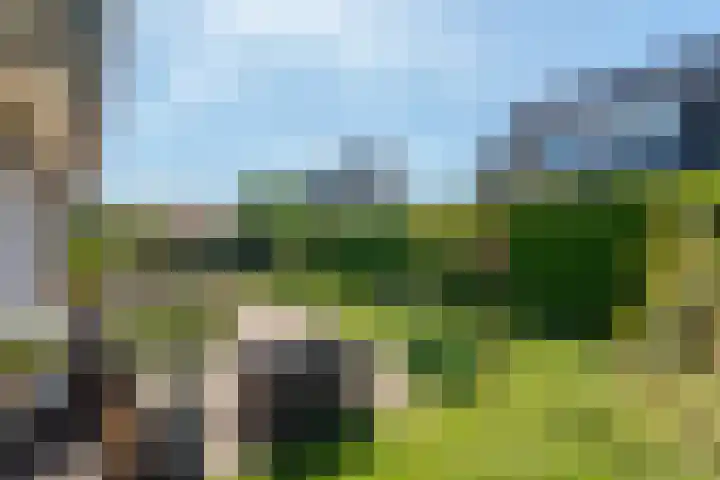 Koningsveld 49 Heiloo thumbnail 32