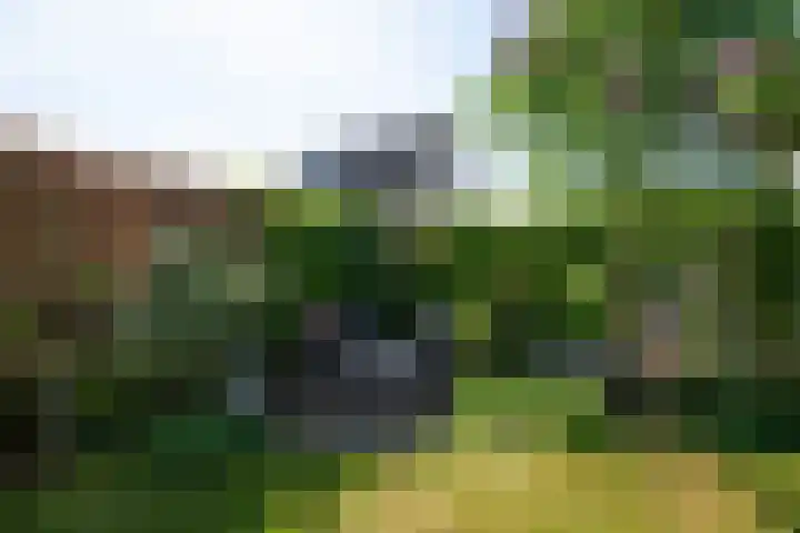 Koningsveld 49 Heiloo thumbnail 37