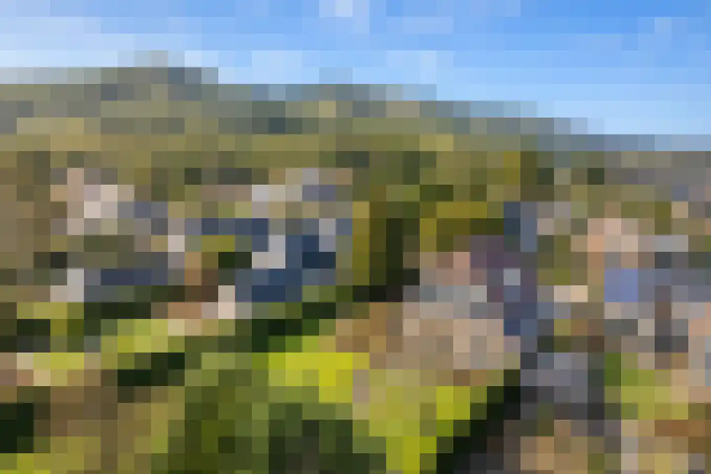 Koningsweg 5 en Schoorl