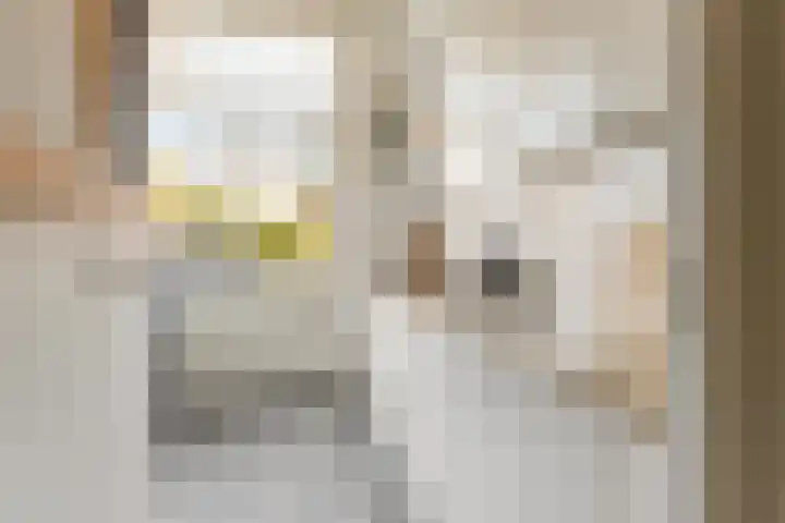 Koningsweg 90 Utrecht thumbnail 17