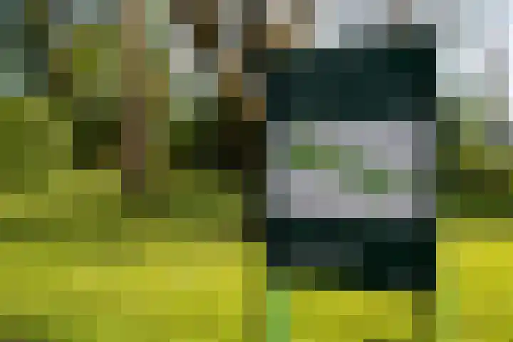 Koningsweg 90 Utrecht thumbnail 36