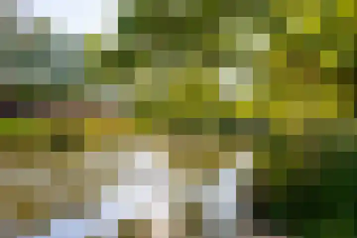 Koningsweg 90 Utrecht thumbnail 38