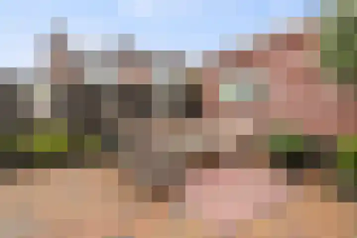 Koog 19 Zuid-Scharwoude thumbnail 38