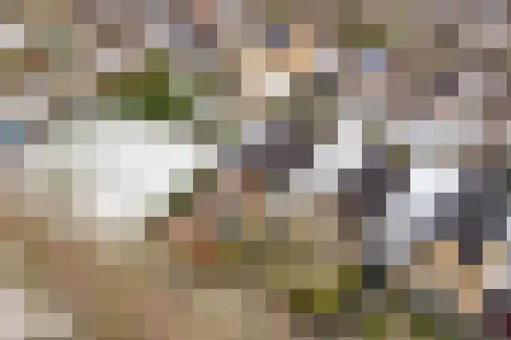 Koog 19 Zuid-Scharwoude thumbnail 41